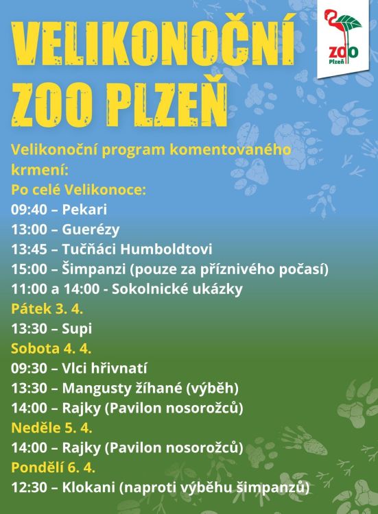 662512317_1376141034544294_1639542500777887639_n 662512317_1376141034544294_1639542500777887639_n