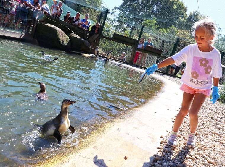 Blízká setkání-Špačkovi (17)-mini