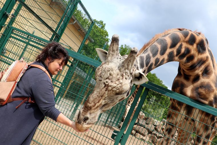 Blízké setkání Hebíková-km (85)-mini