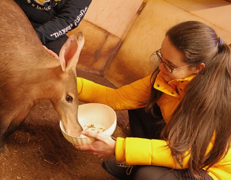 blízké setkání-Tvrzníkovi--hrabáč-leden 2024-km (6)-mini