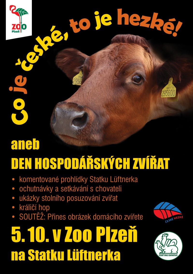 Ceske-hezke_2024-plakat