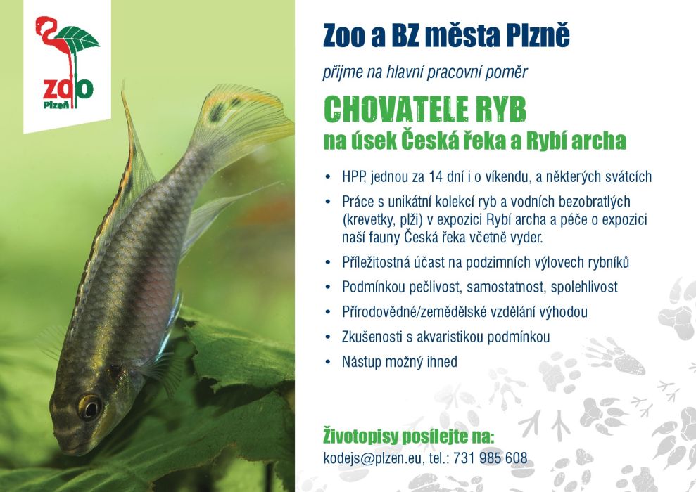 Inzerat-zamestnanec-26-01-ryby