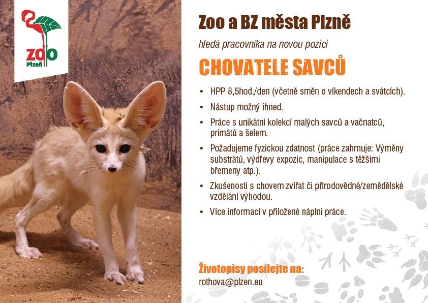 Inzerat-zamestnanec-26-01-savci