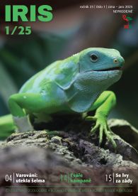 Iris_1_2025