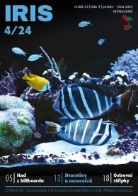Iris_4_2024 (3)_Stránka_01
