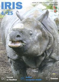 iris 4 - sken - kopie