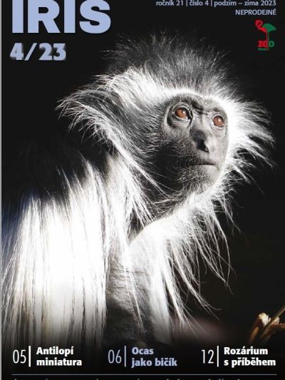 iris-2023-4