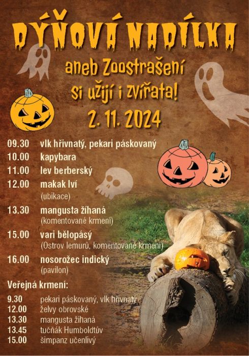 Plakat-dynovy-enrich-2024