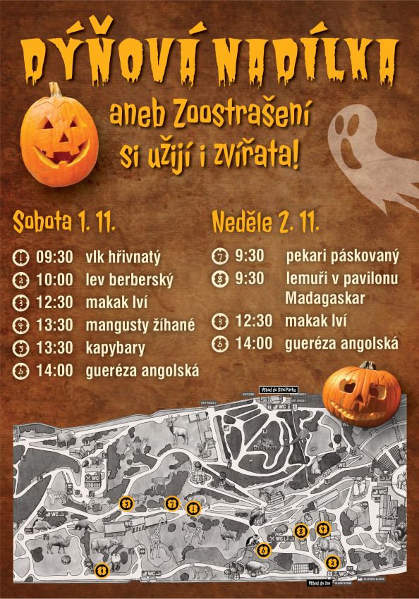 Plakat-dynovy-enrich-2025