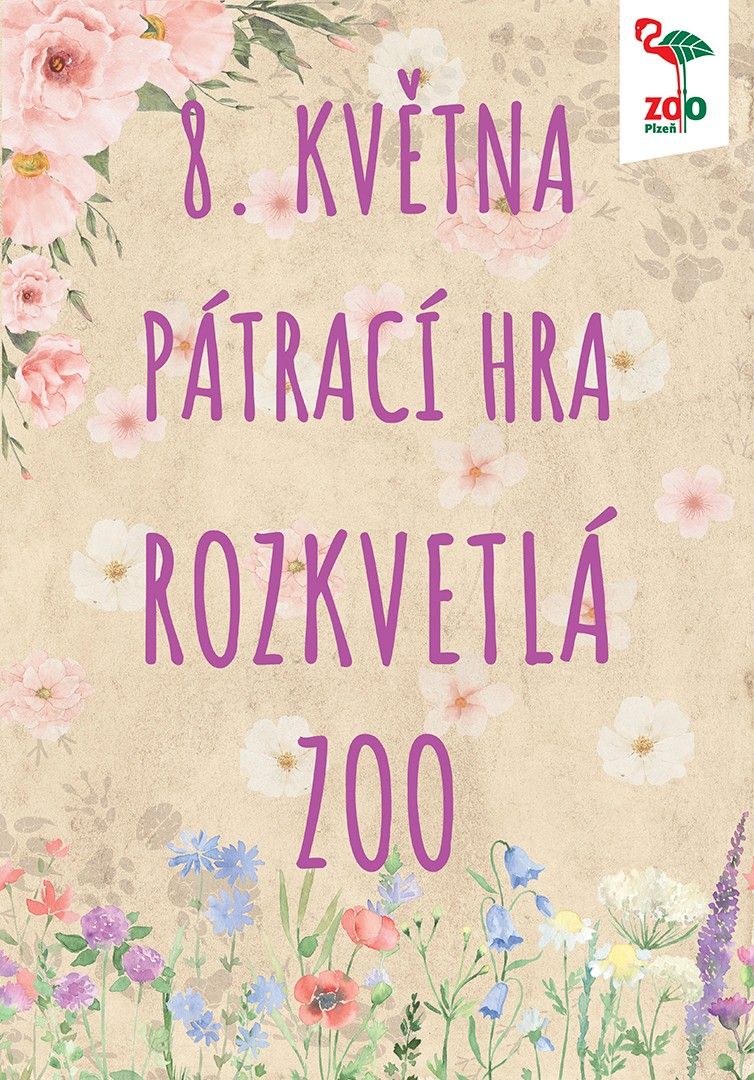 Plakat-ROZKVETLA