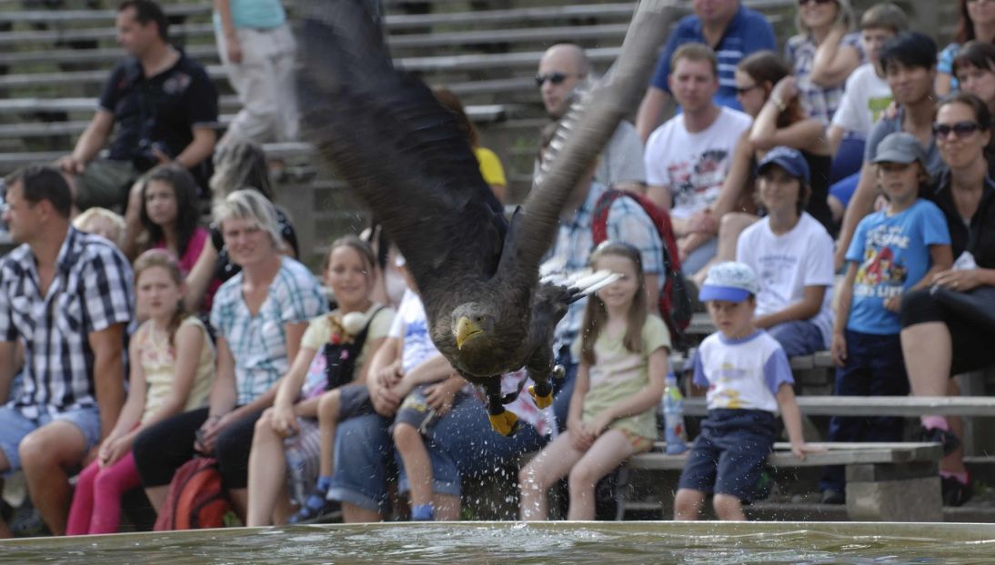 Sokolník_Zaleš M._11.8.2013 f