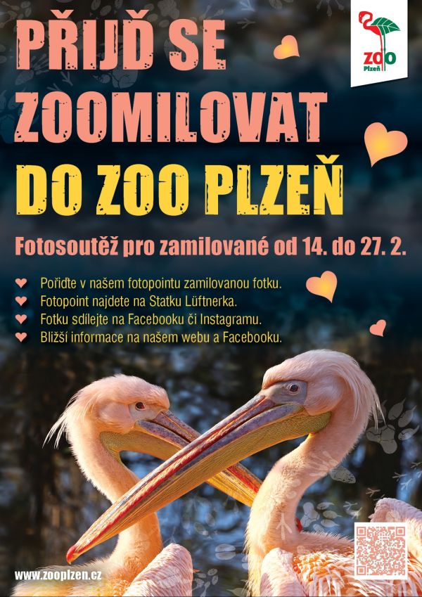 Zoomilovani-25